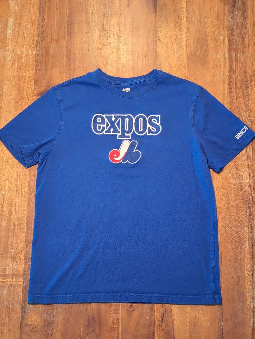 Official Expos Logo Mens T-Shirt - Blue